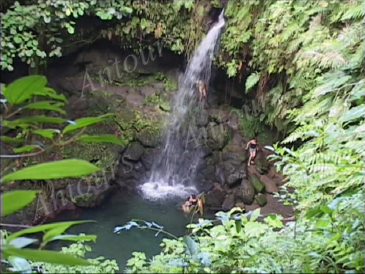 Emerald Pool Dominica