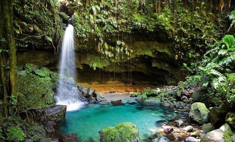 Emerald Pool Dominica